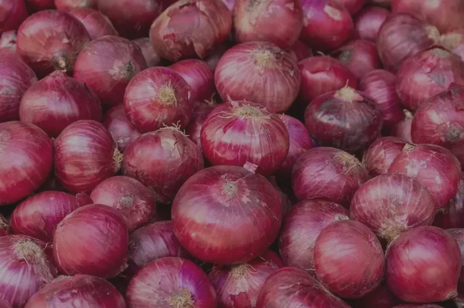 Nilkanth Exim Banner