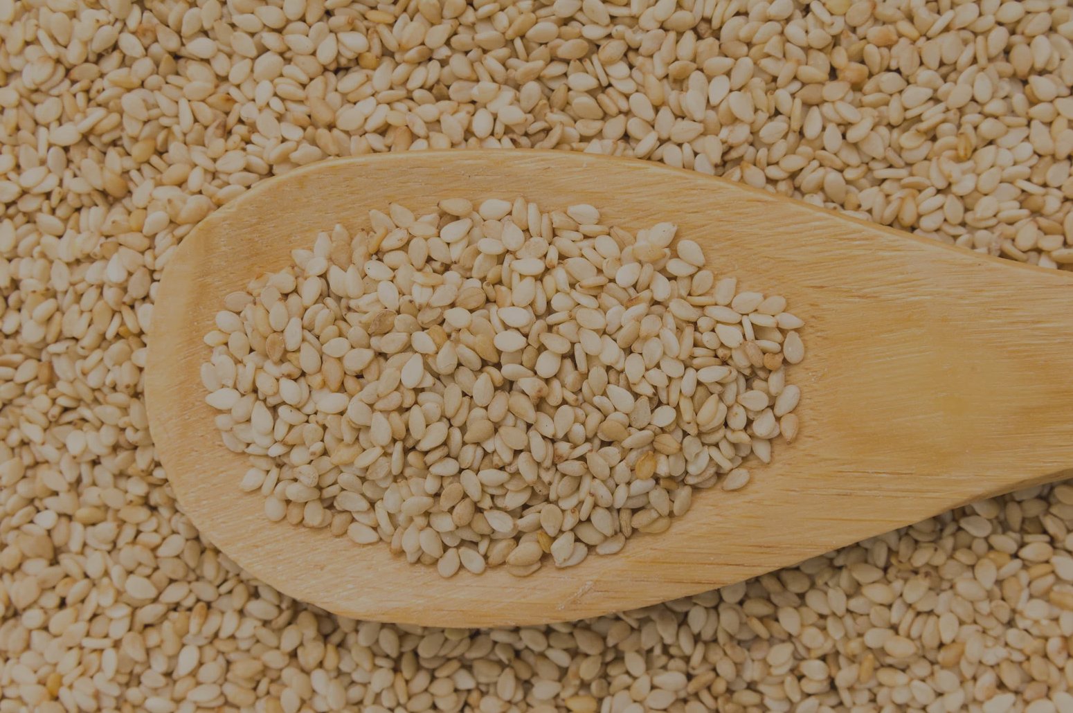 Nilkanth Exim Banner