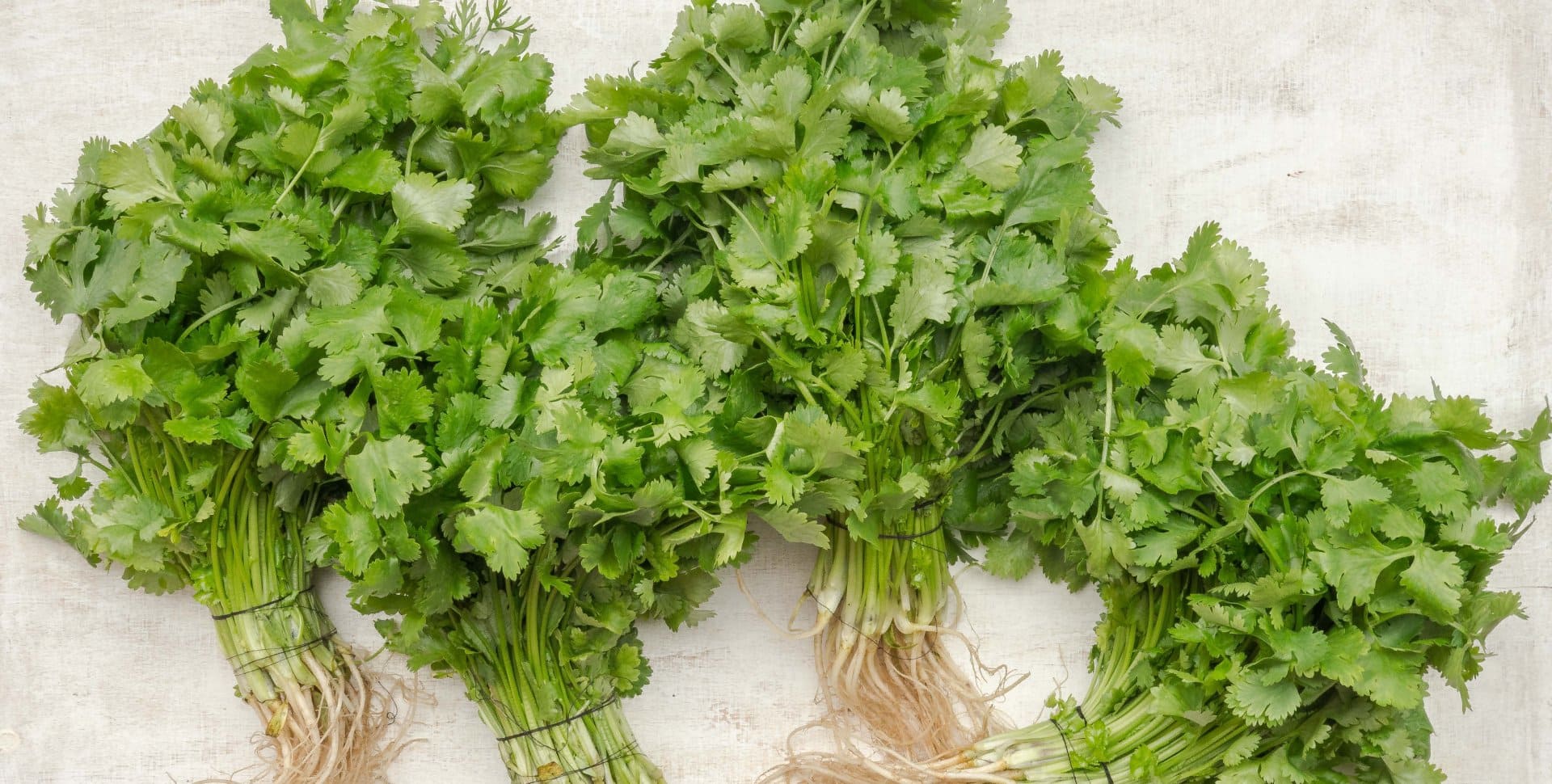 Anuradha Enterprises Banner