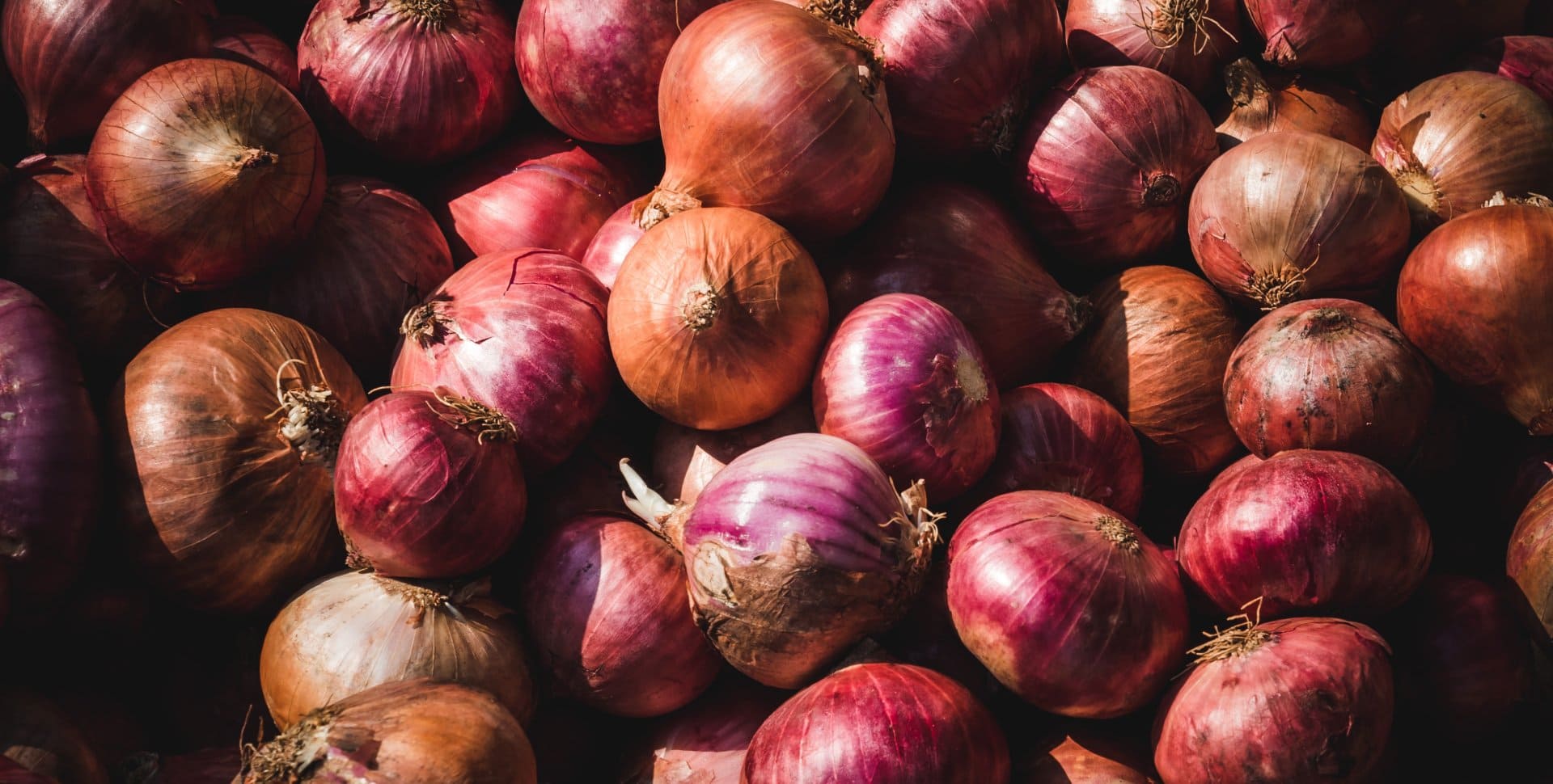 Anuradha Enterprises Banner