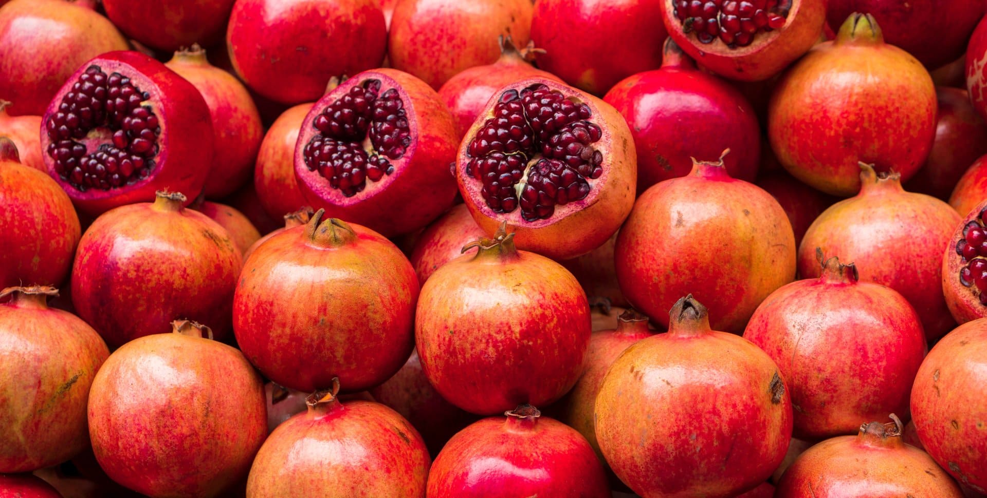 Anuradha Enterprises Banner