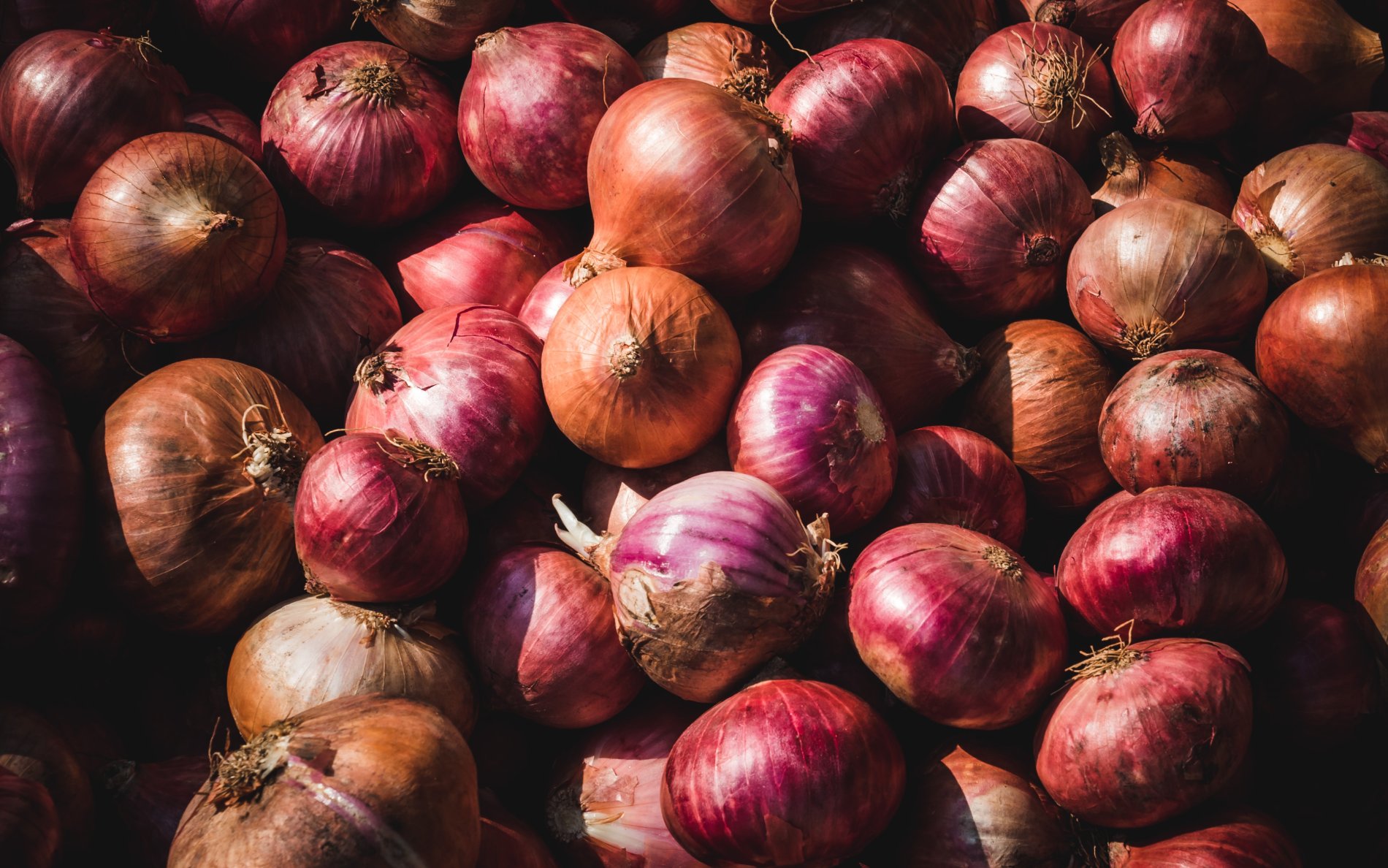 AZAK AGRO GLOBAL EXPORTS PVT LTD Banner