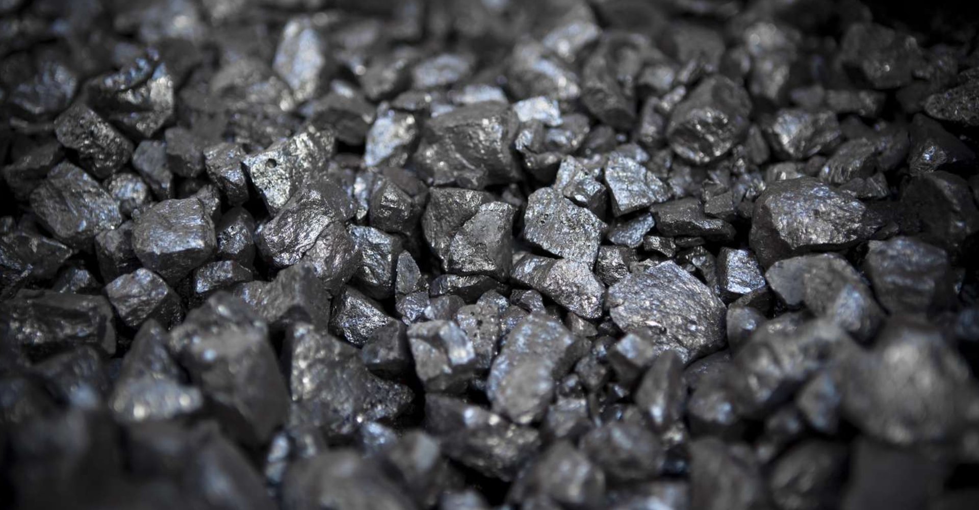 Rosewoods Nature Home Stay Banner