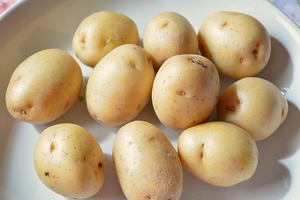 DLST ENTERPRICES Banner