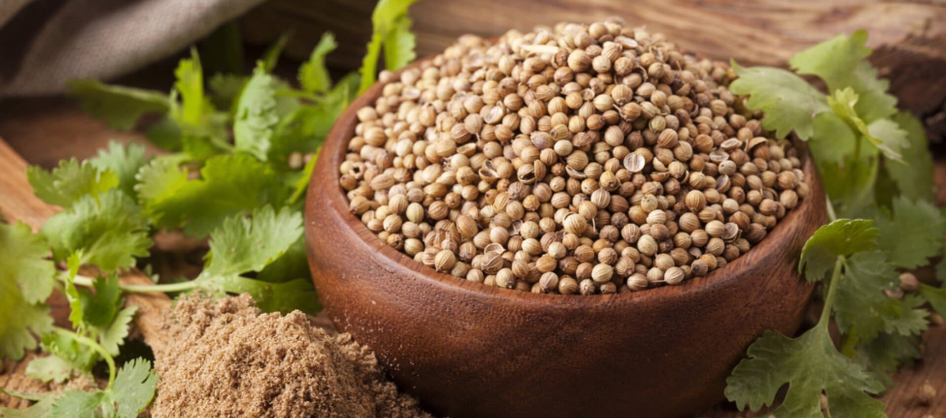 SHREE AGRI INTERNATIONAL Banner