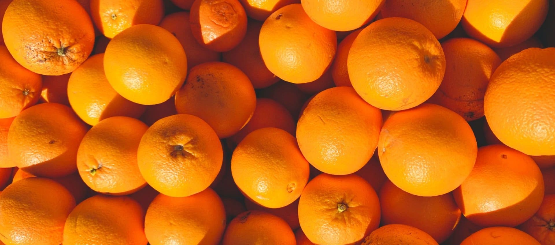 SHREE AGRI INTERNATIONAL Banner