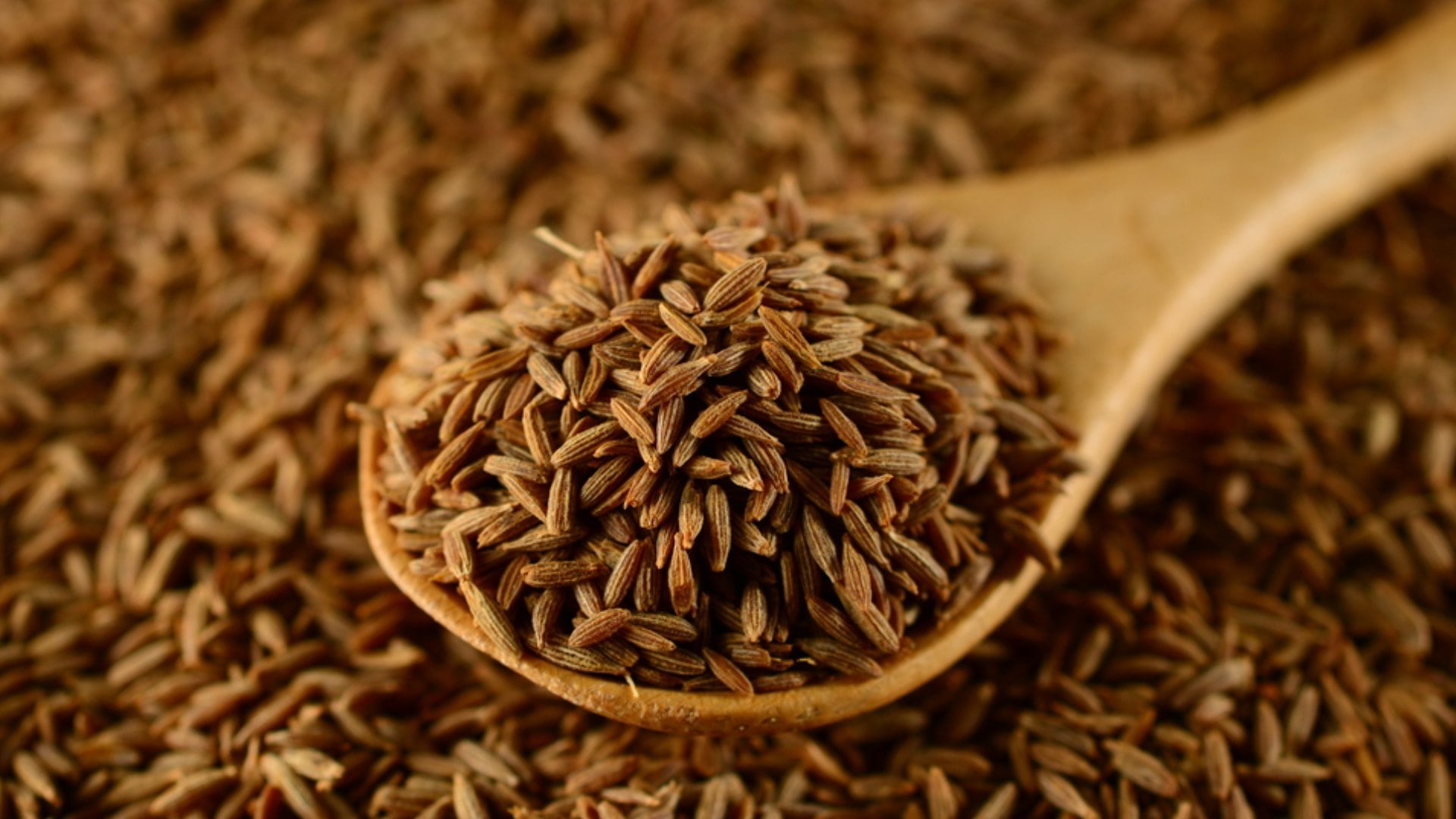 Shivimeen Exports Banner