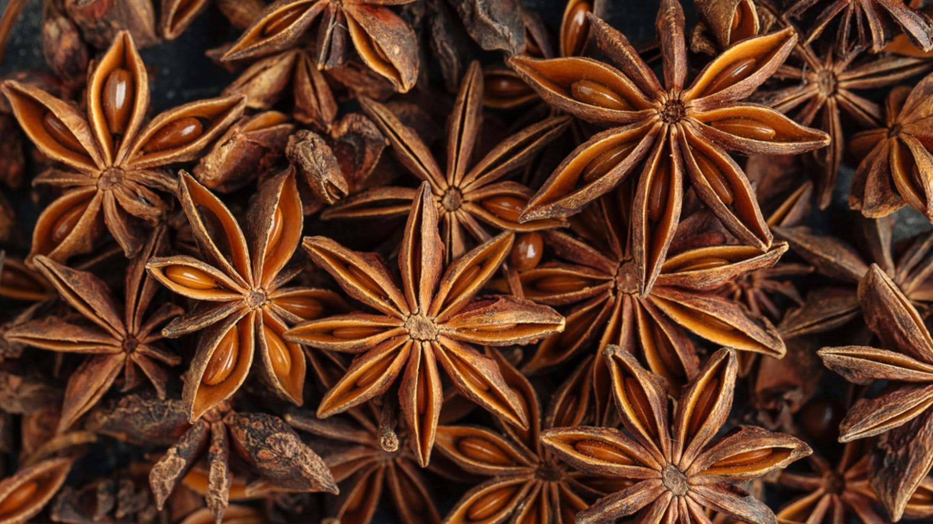 Shivimeen Exports Banner