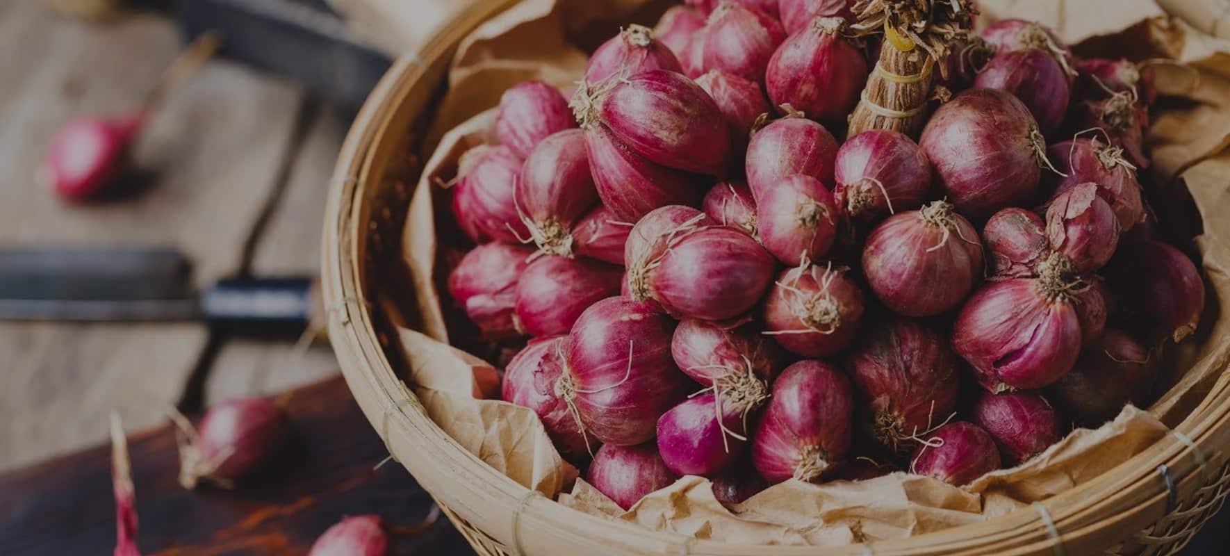 Panchtattva Enterprise. Banner