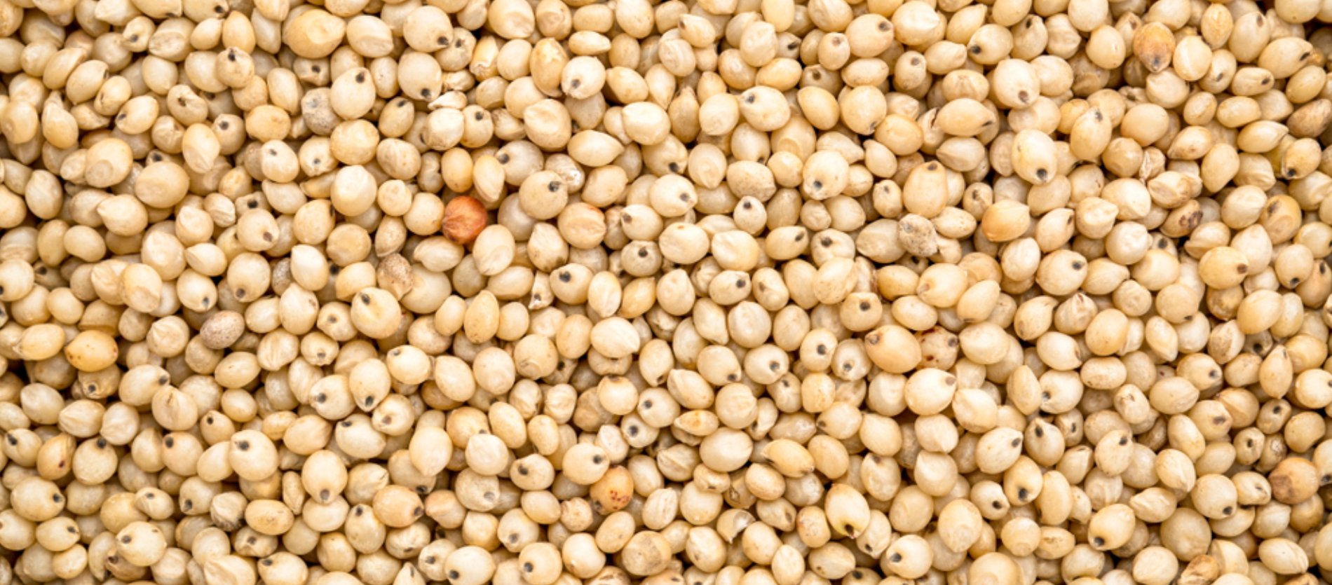 K.M.K. TRADERS & FLOOR MILLS Banner