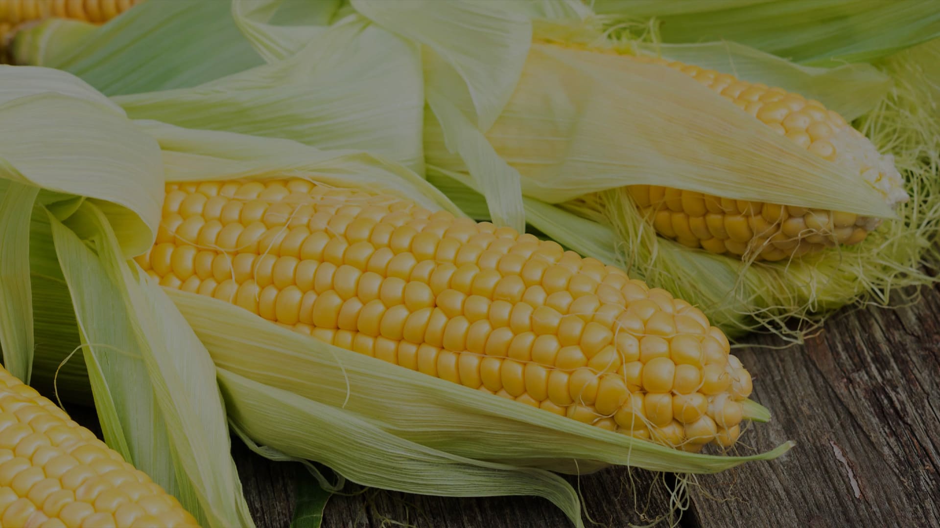 Shree Arvind globaltrade Banner