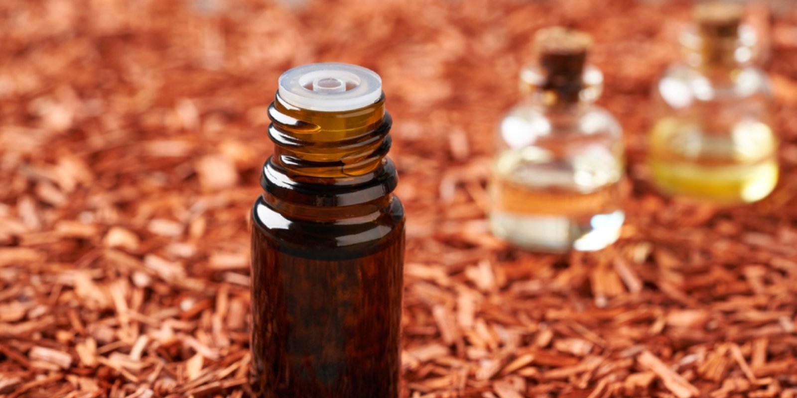 Kamala Enterprises Banner