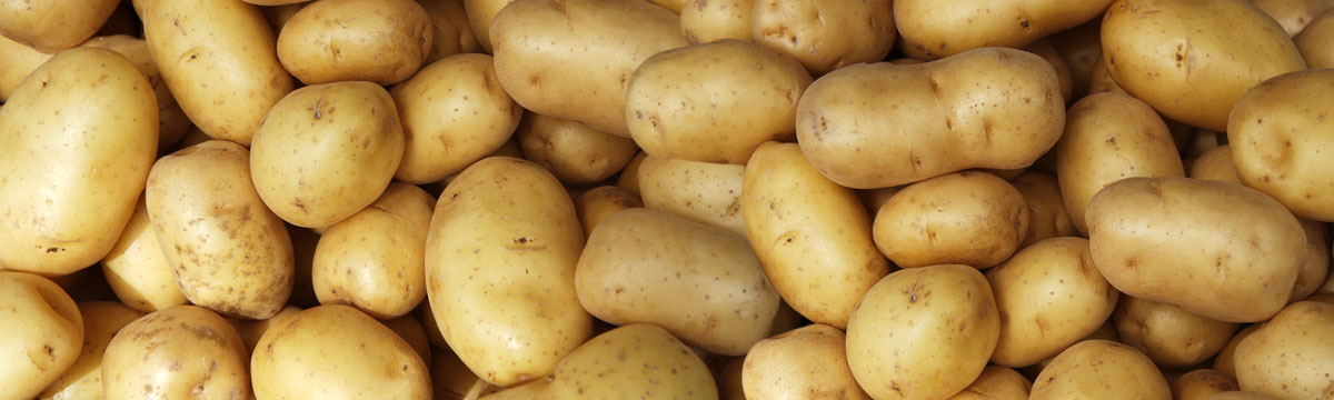 VEERKRUPA GLOBAL ENTERPRISE Banner