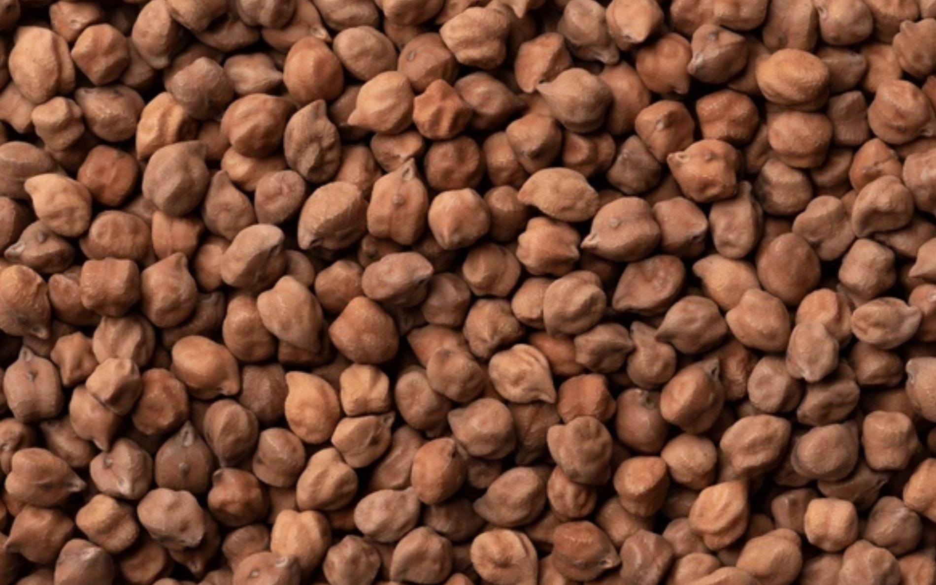 Kailash Dall & General Mill Banner