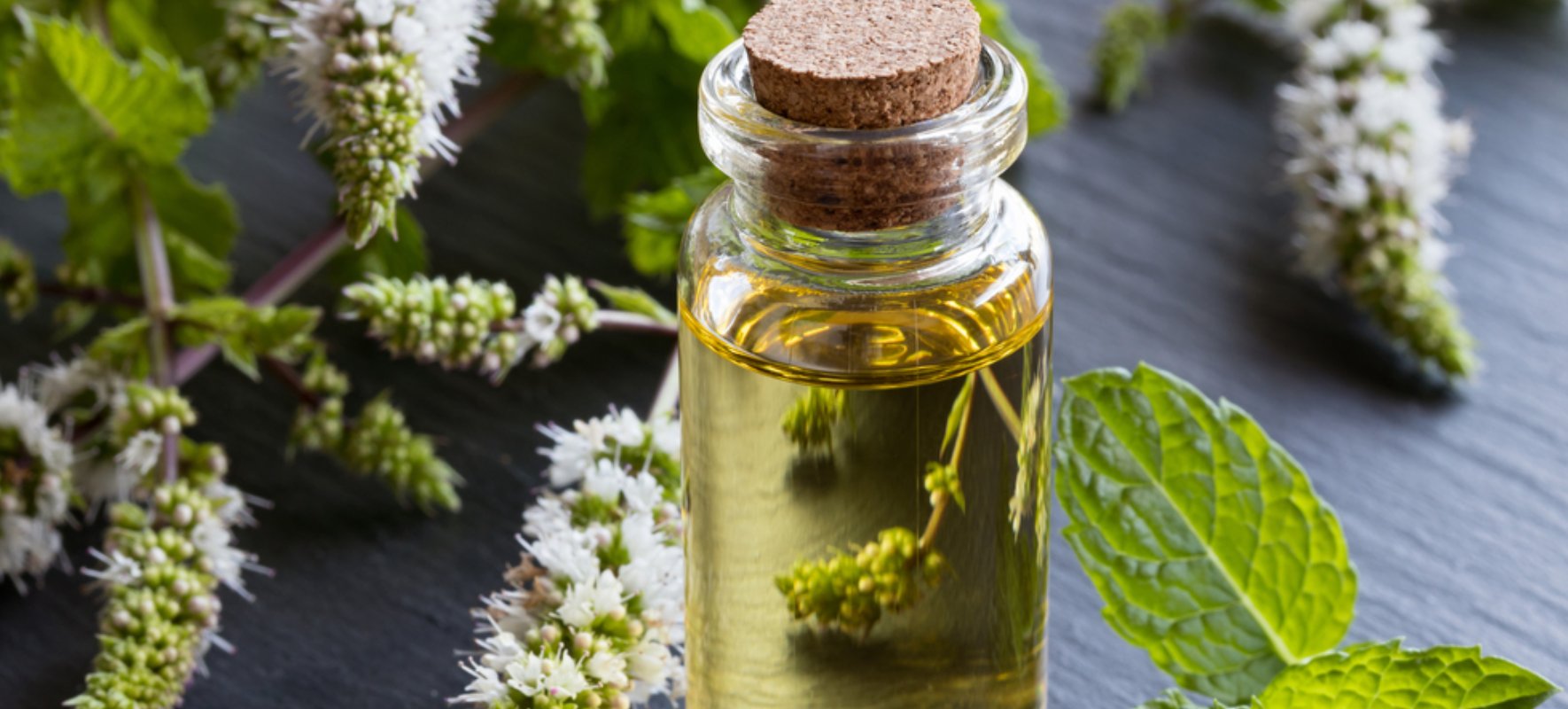 SAHAJDEEP IMPEX PRIVATE LIMITED Banner