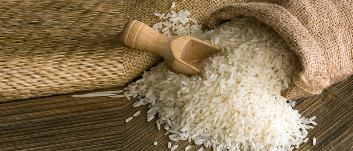 BUSINESS FACTOR Banner