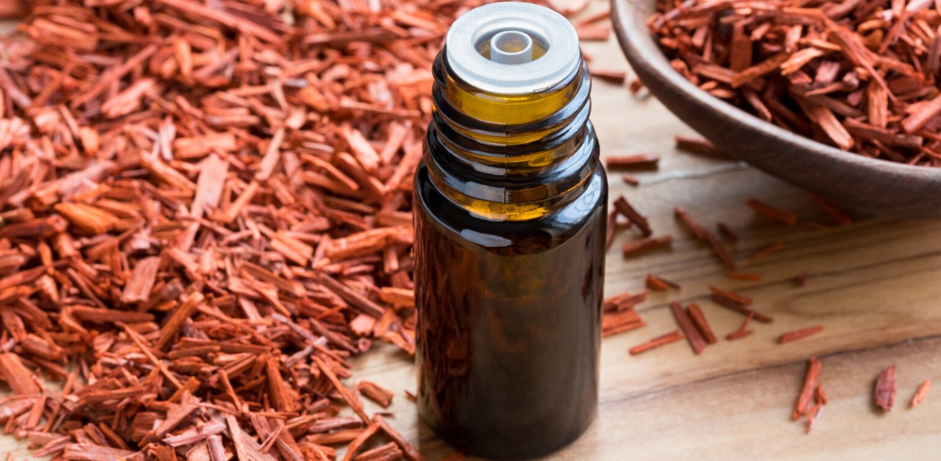 Tanish & Company Banner