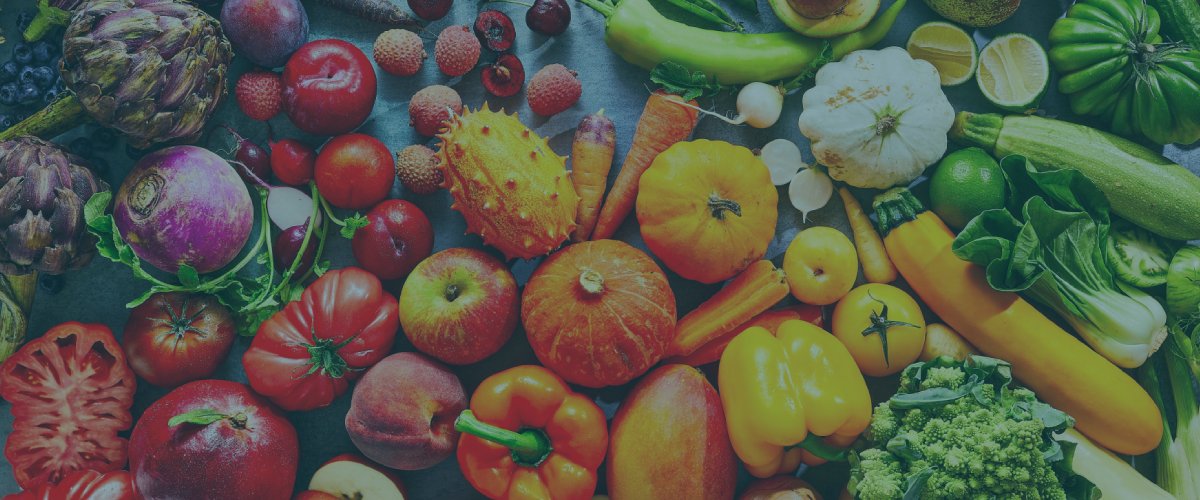 Levista Exports and Imports Banner