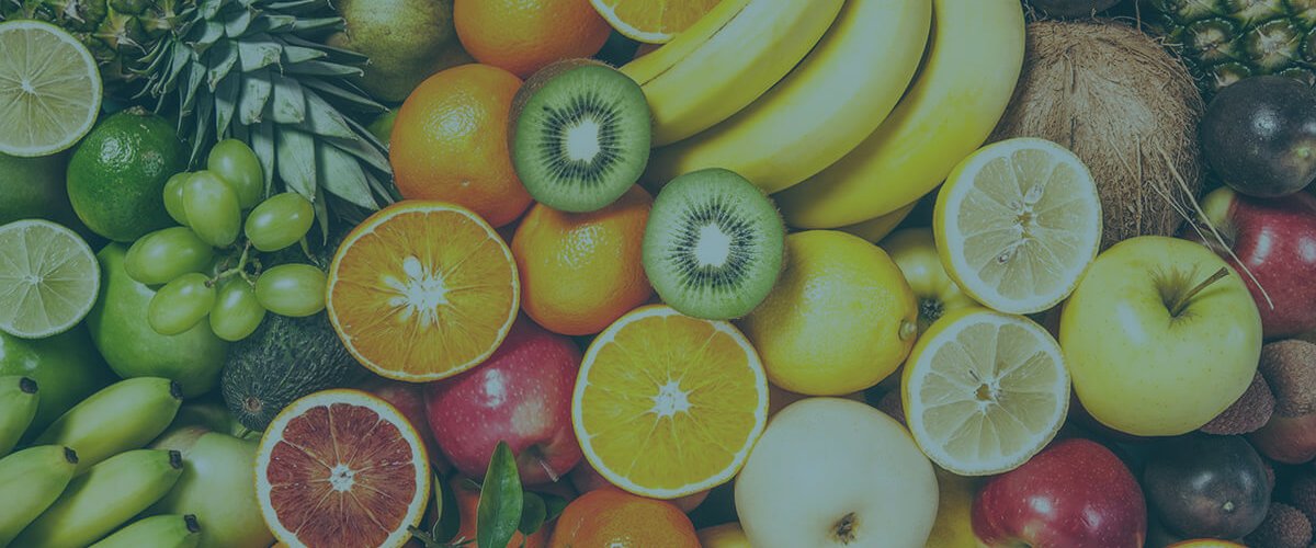 Levista Exports and Imports Banner