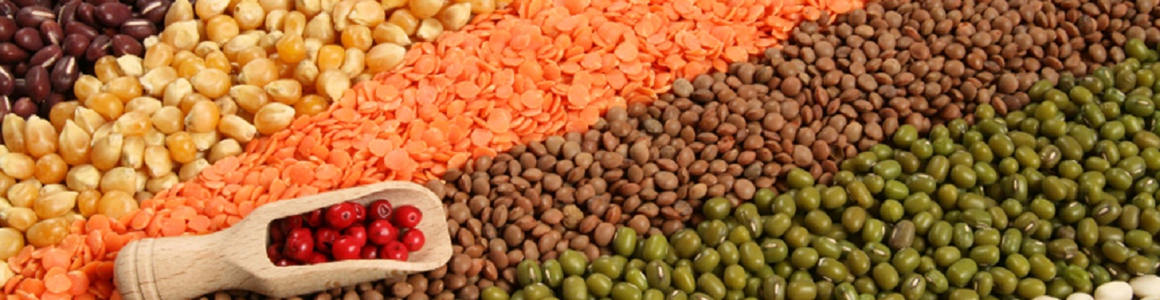 Vedik exports Banner