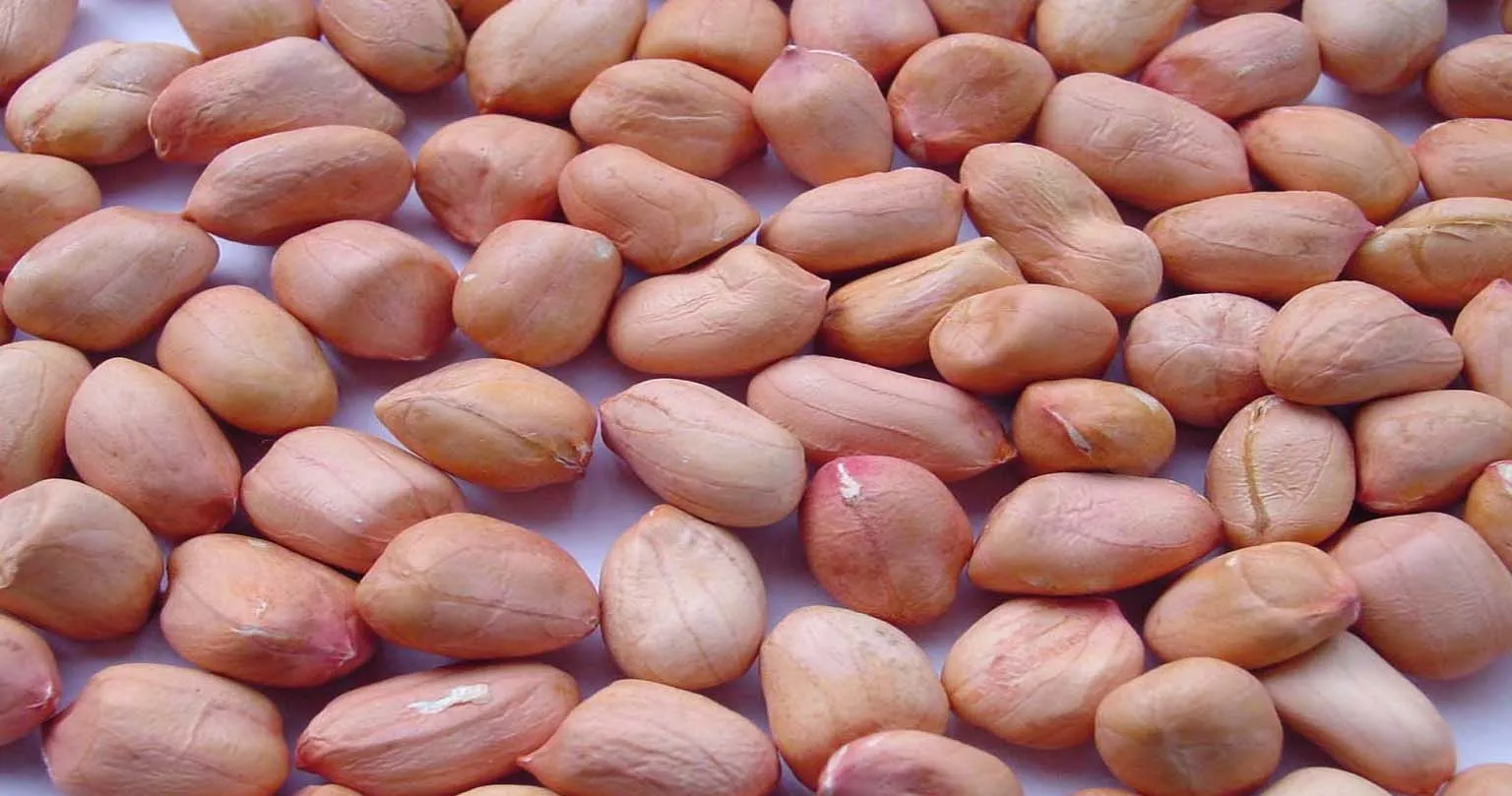 ONKAR INDUSTRIES Banner