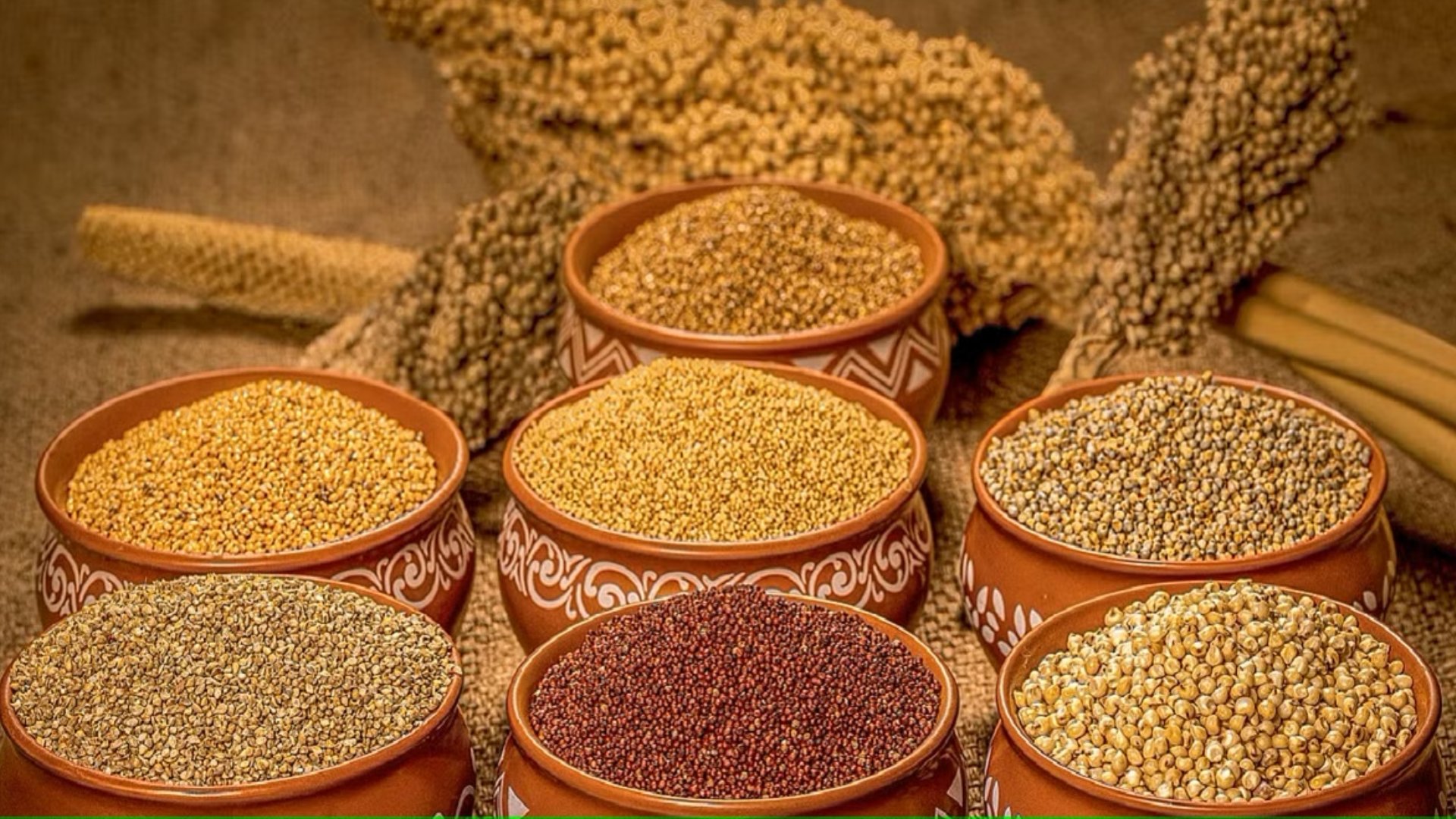 SMART KRUSHI INTERNATIONAL Banner