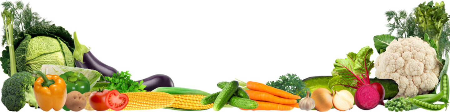 Bhavna international import export Banner