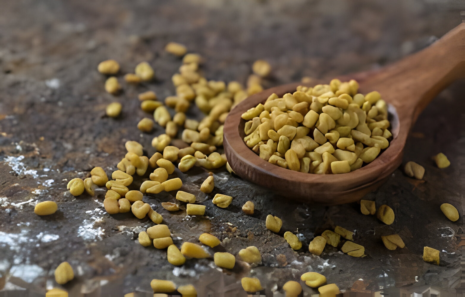 Rathore Traders Banner