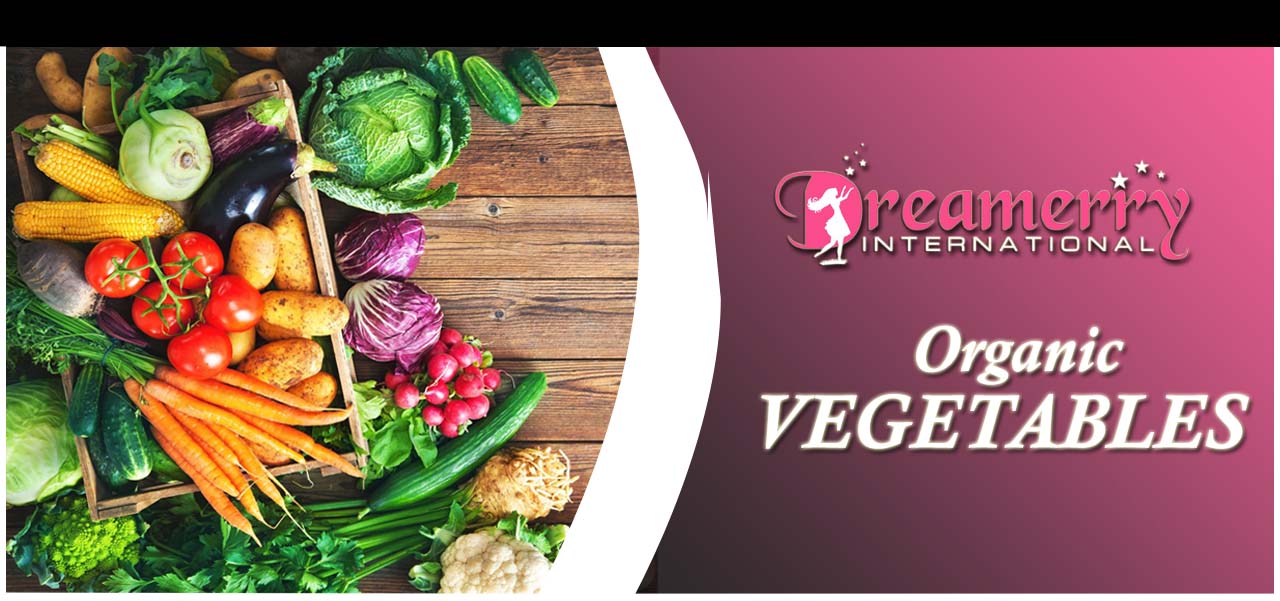 DREAMERRY INTERNATIOL Banner