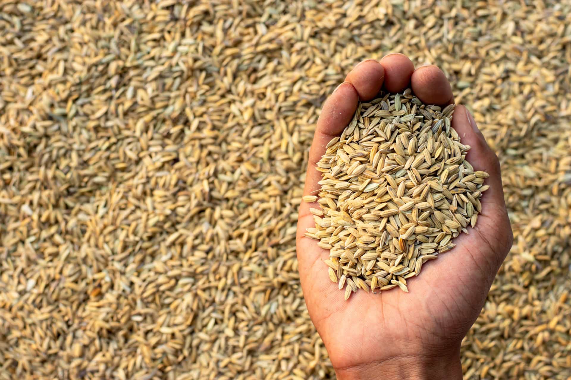 Pure Crop Sciences Pvt. Ltd. Banner