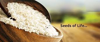 HBL export India Pvt Ltd Banner