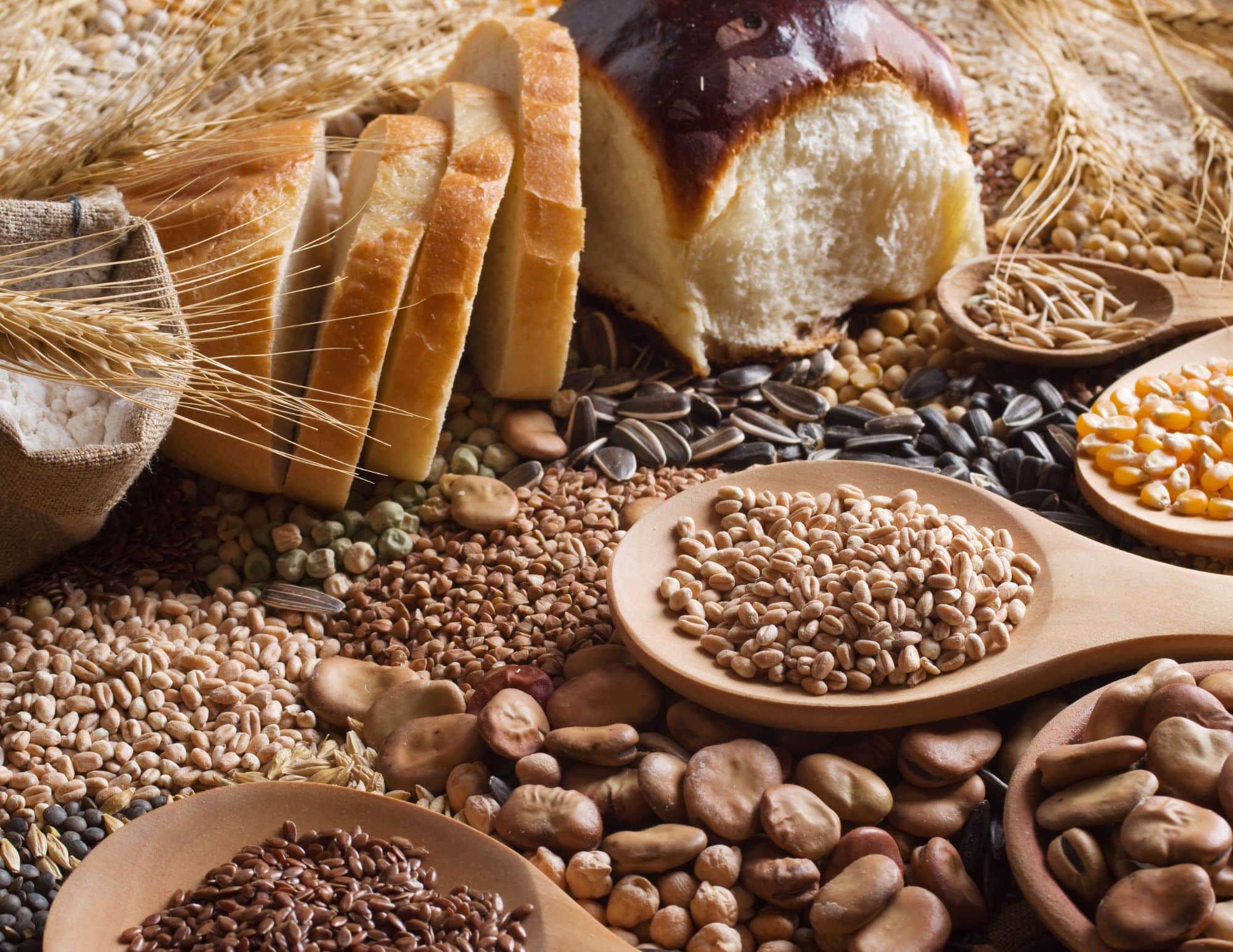 RMM Foodx LLP Banner