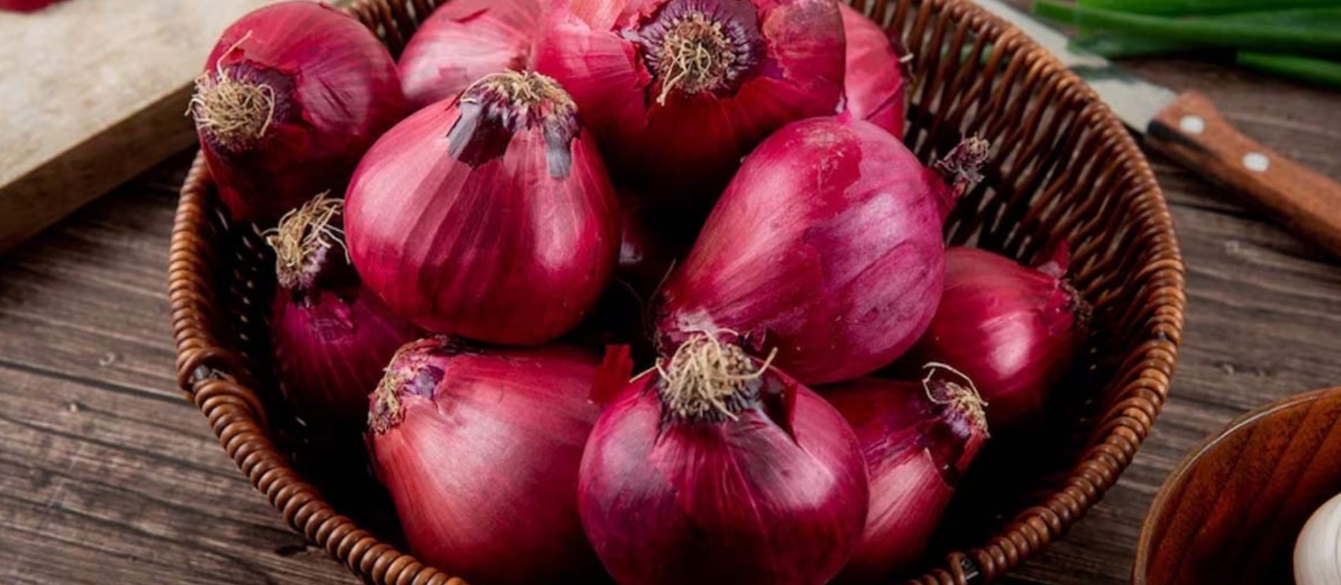 V T DRAGON FRUIT Banner