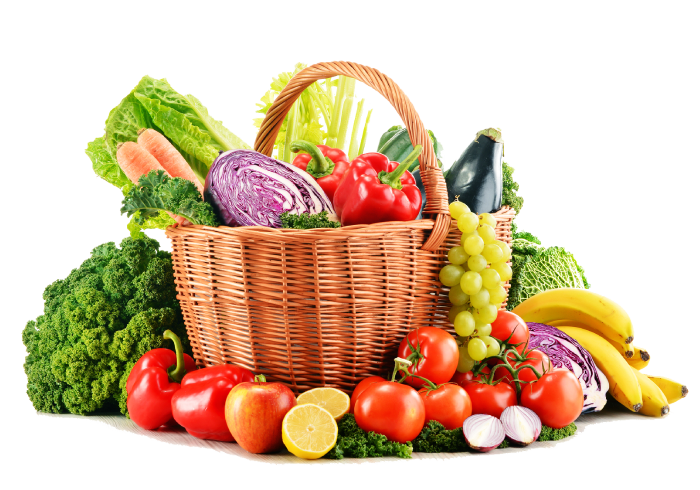 Jagdamba global trade Banner