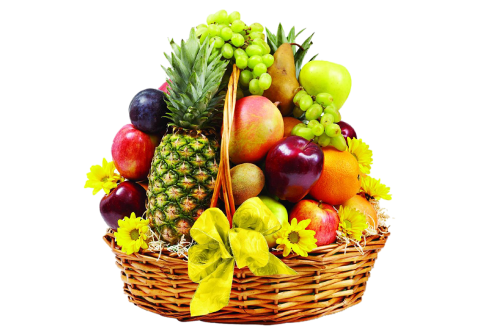 Jagdamba global trade Banner