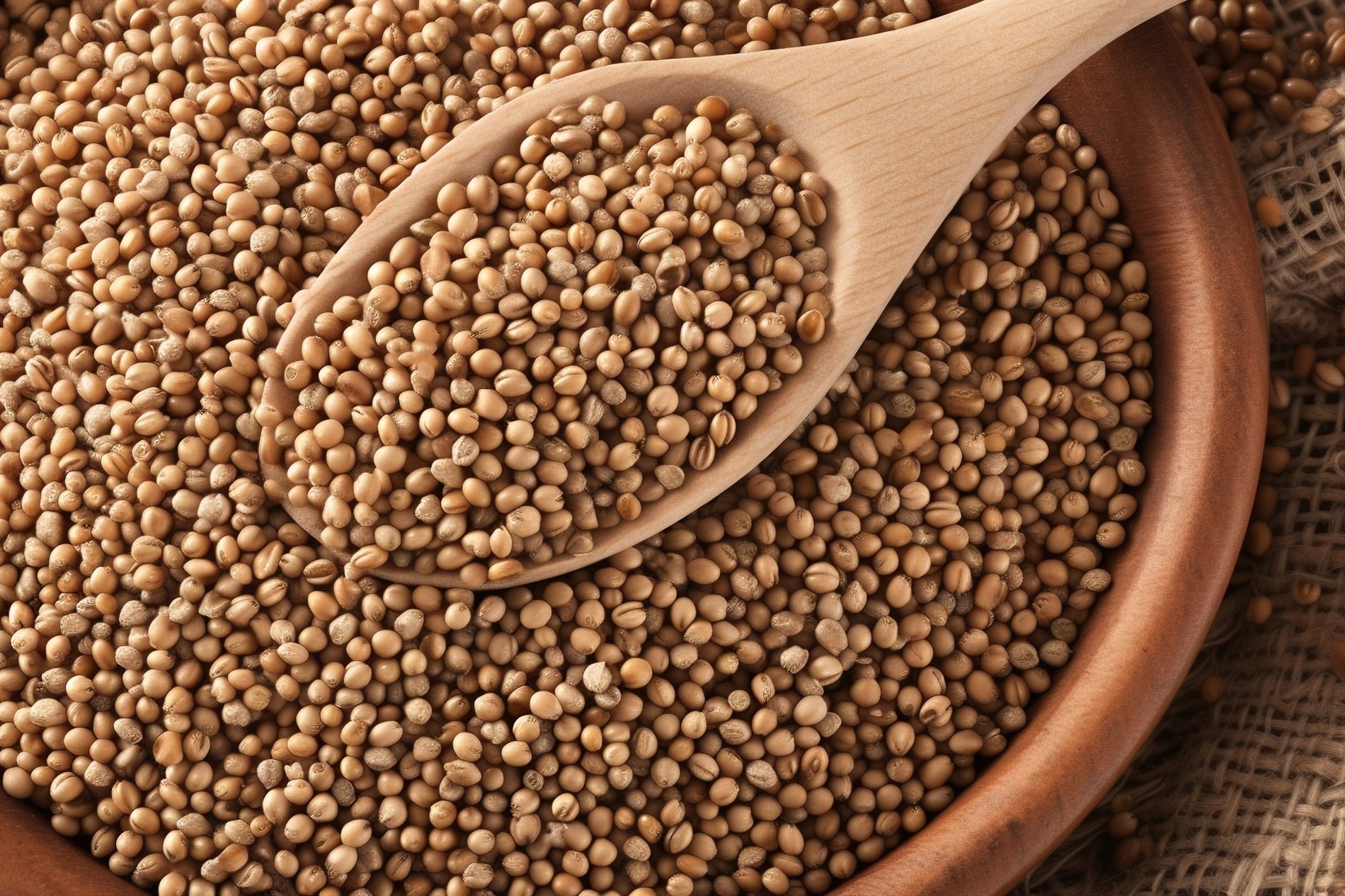 Niranjani Exports Banner