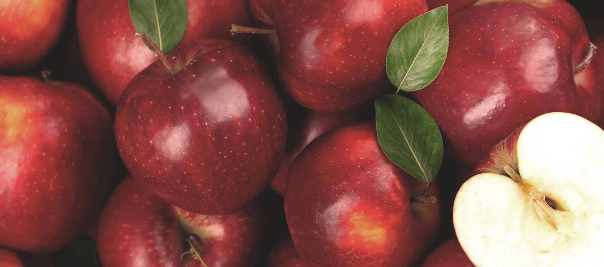 R B ENTERPRISE Banner