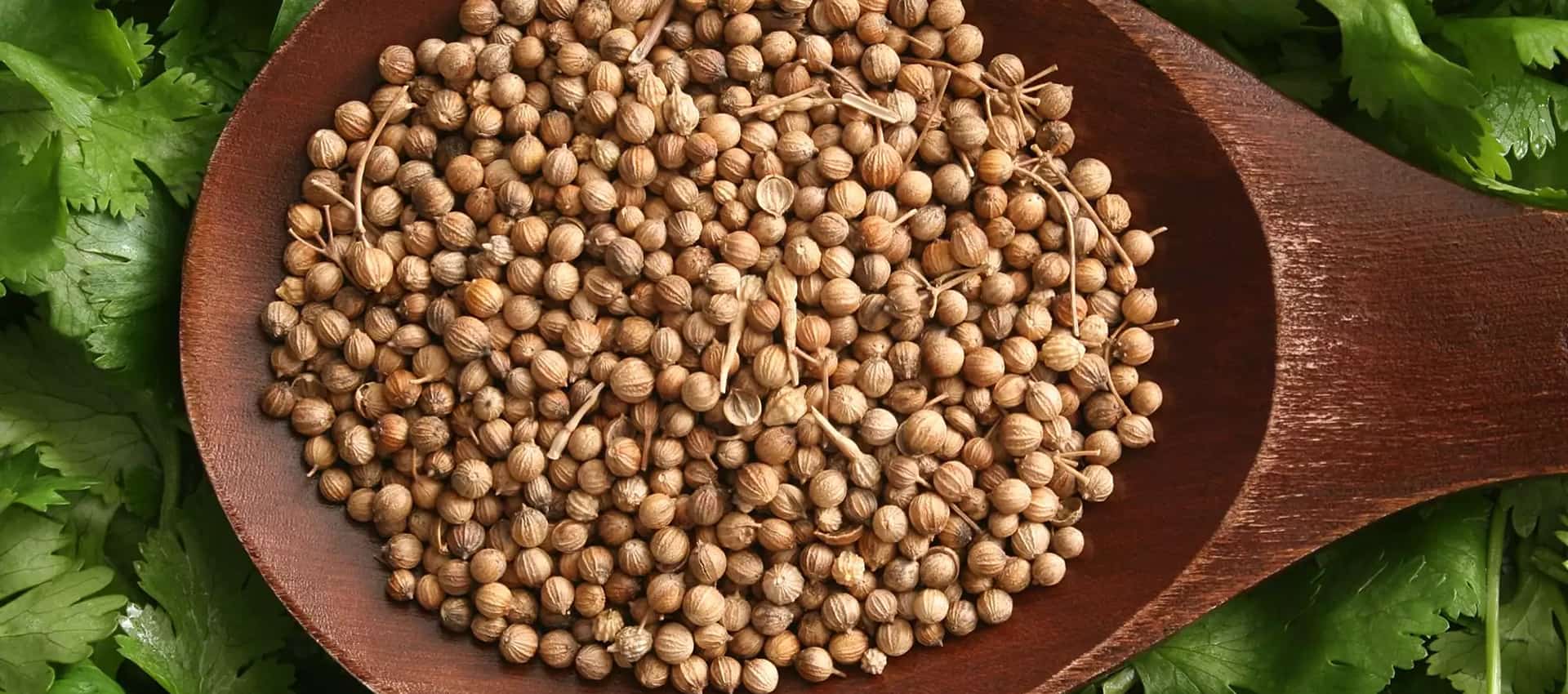 R B ENTERPRISE Banner