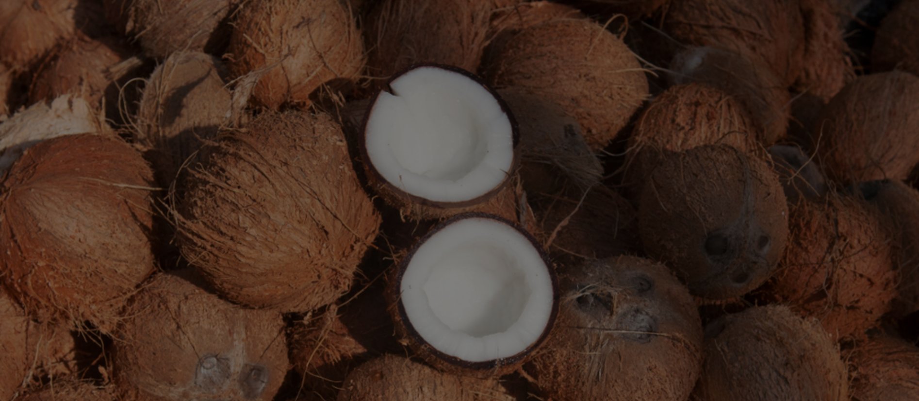 C S Coconuts Banner