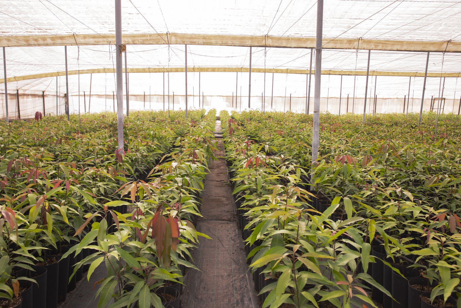 WELLSUN FARMER FERTILIZER PRIVATE LIMITED Banner