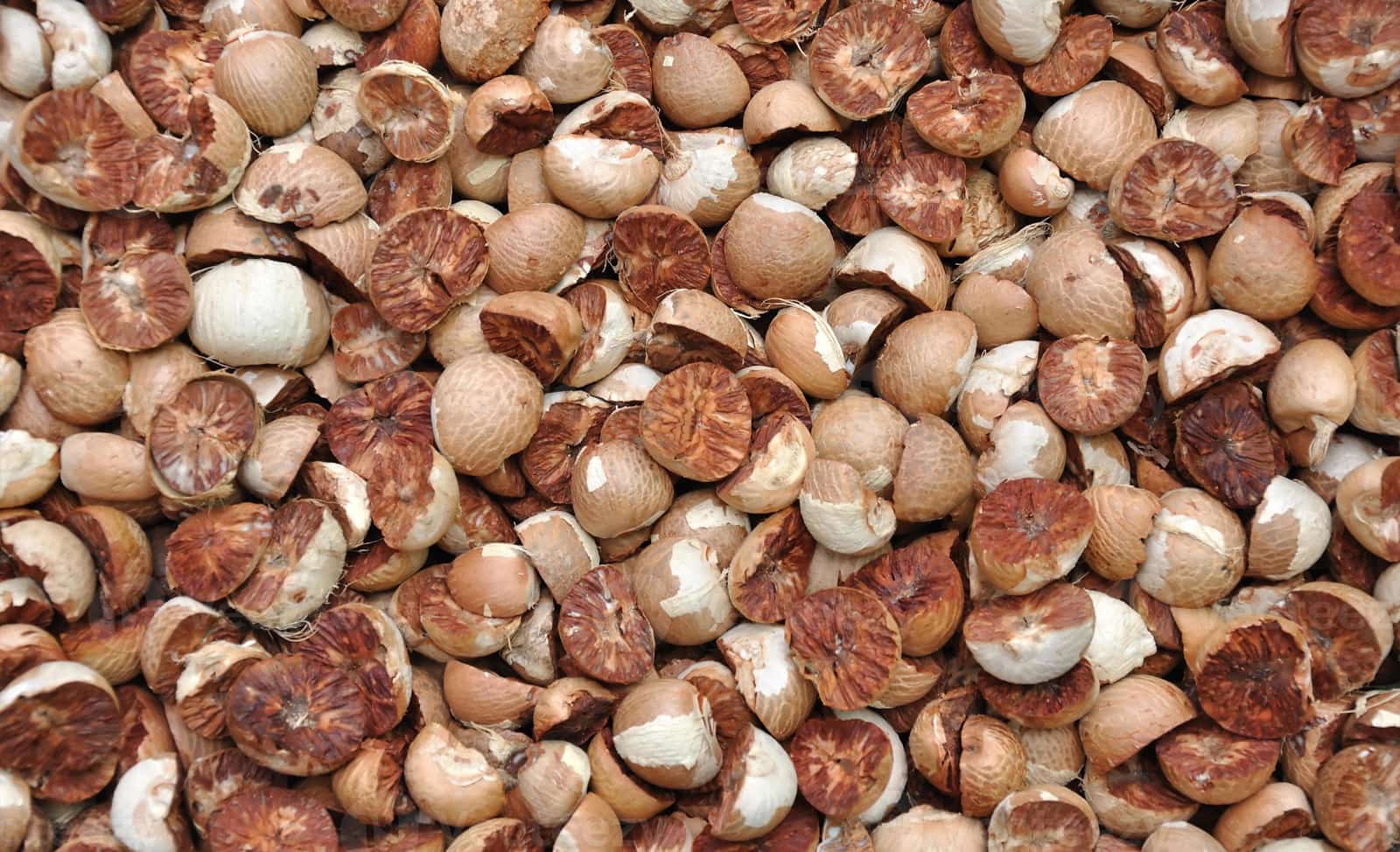 Pardip mahanta Banner