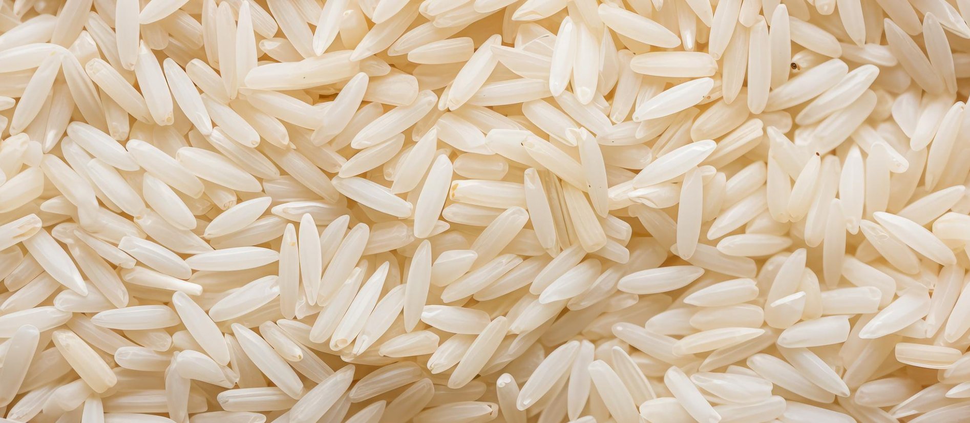 Shree Radhey Exports Banner