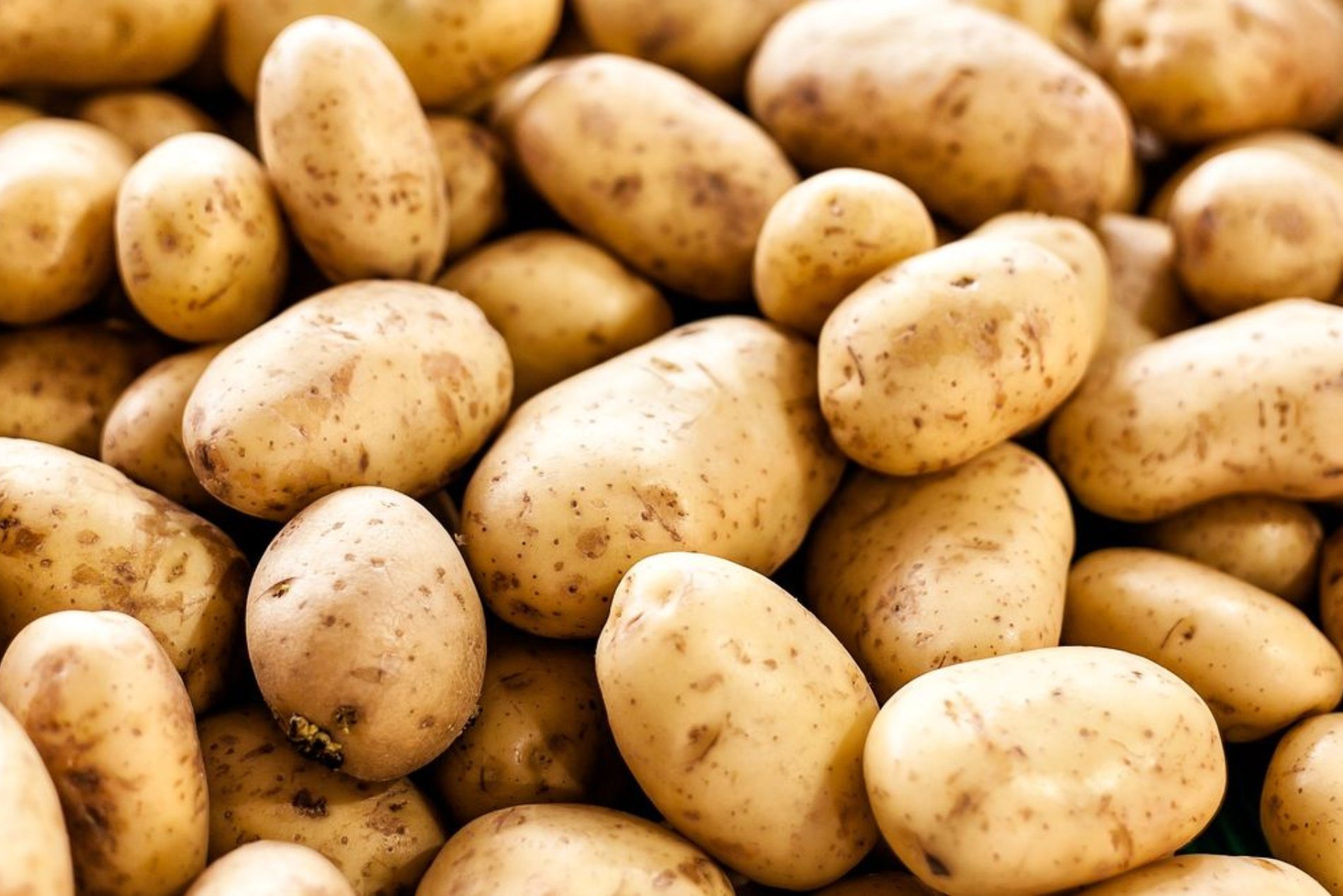 DMR Agro Traders Banner