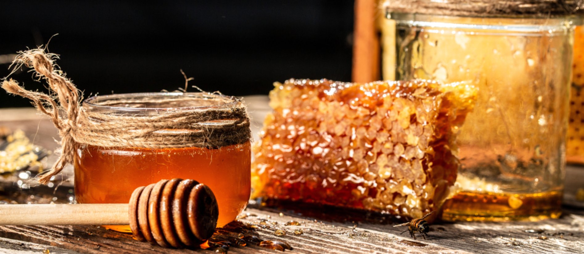 KARMABHUMI XPORT LLP Banner