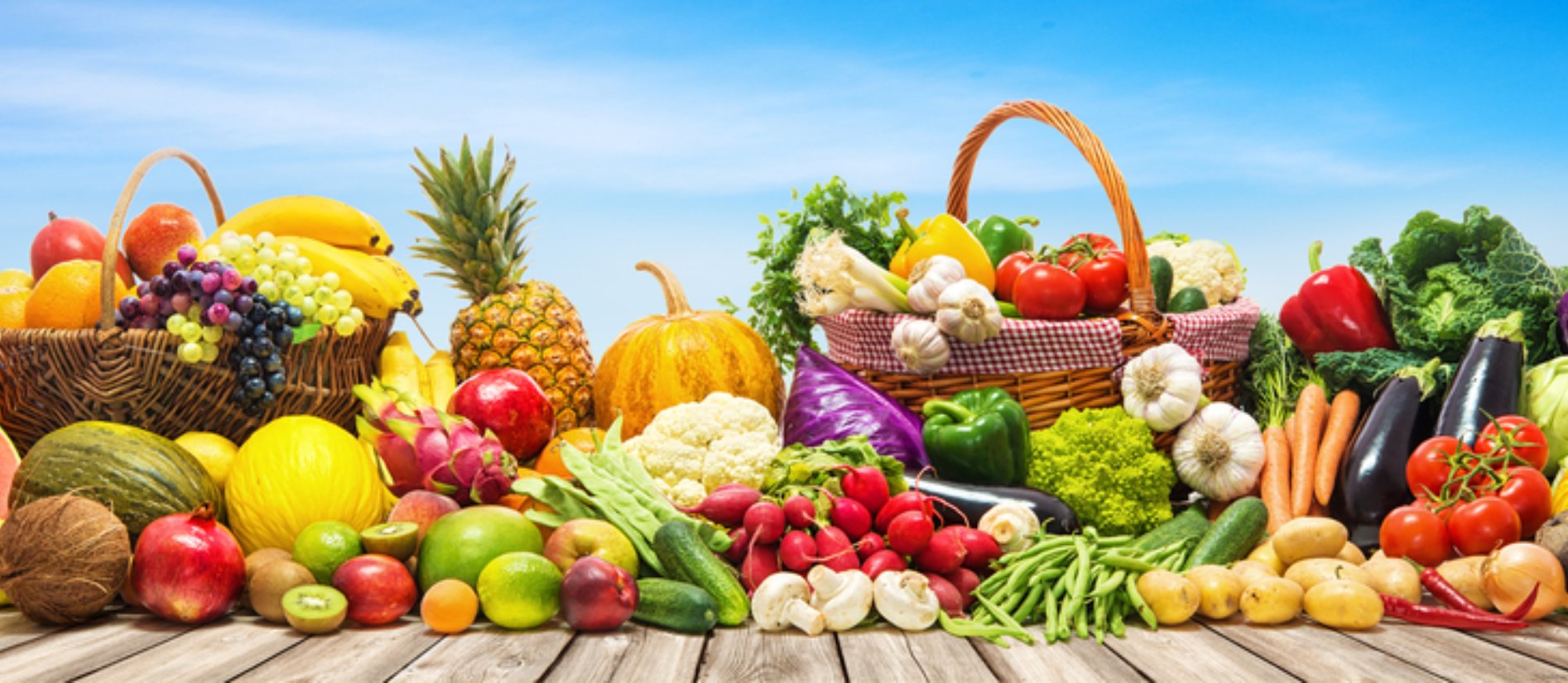 KARMABHUMI XPORT LLP Banner