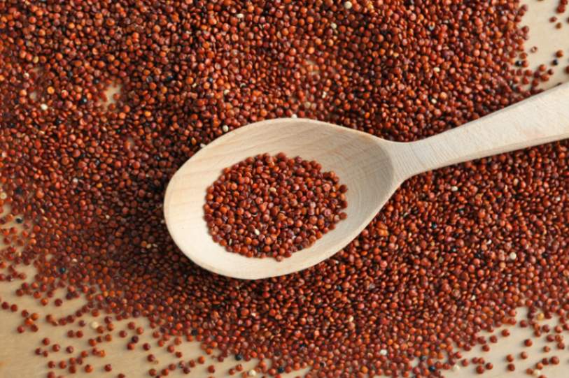 MG International Banner