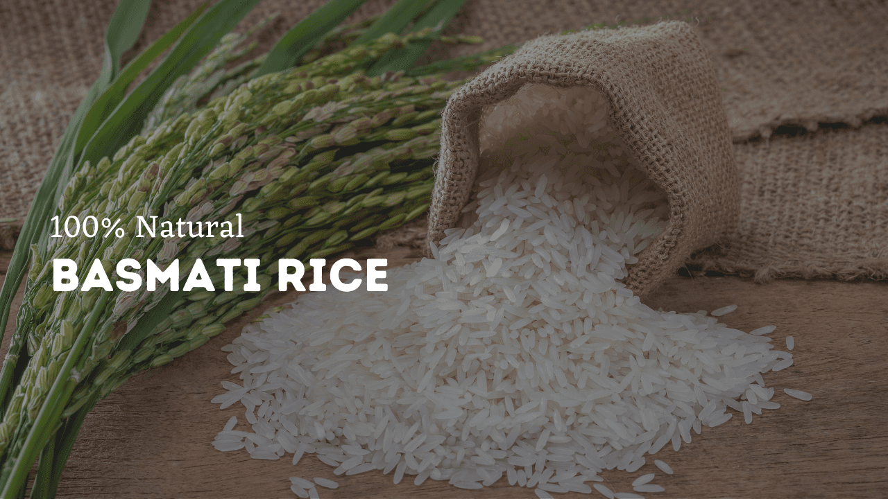 Padmashri export Banner