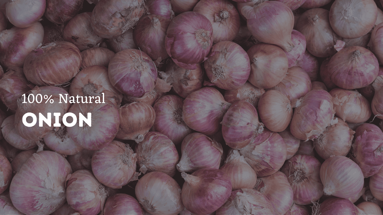 Padmashri export Banner