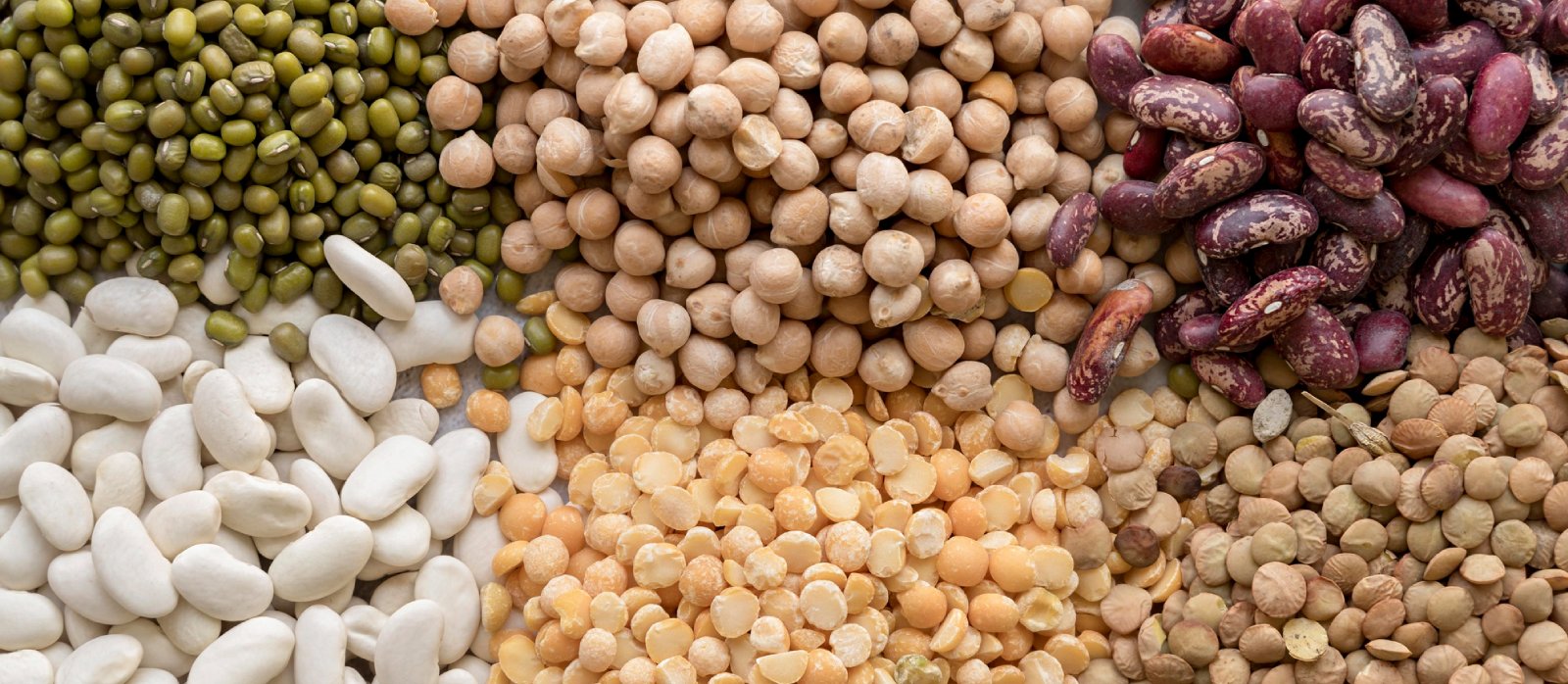 RECKON GLOBAL Banner