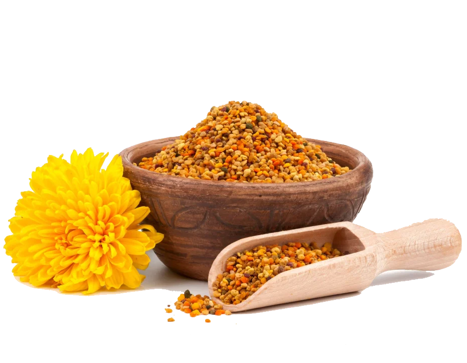 Director, Global Apiaries India Banner